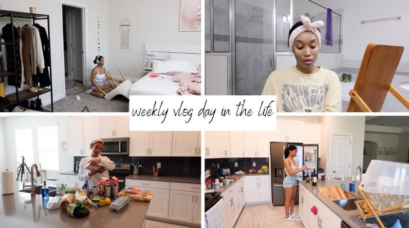 WEEKLY VLOG DAY IN THE LIFE // the update // Jessica Tull