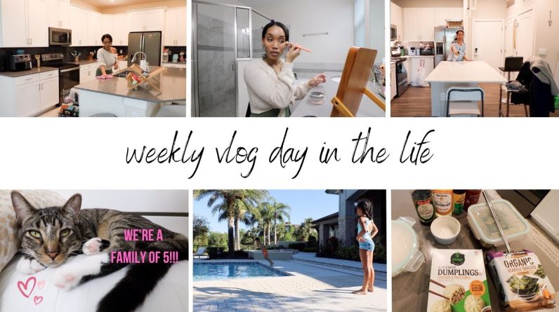 WEEKLY VLOG DAY IN THE LIFE // MEET MISA OUR NEW KITTY!! // Jessica Tull